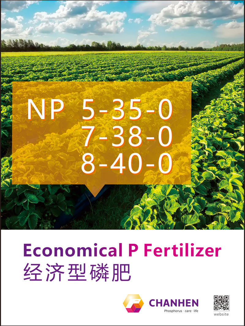 NP海报