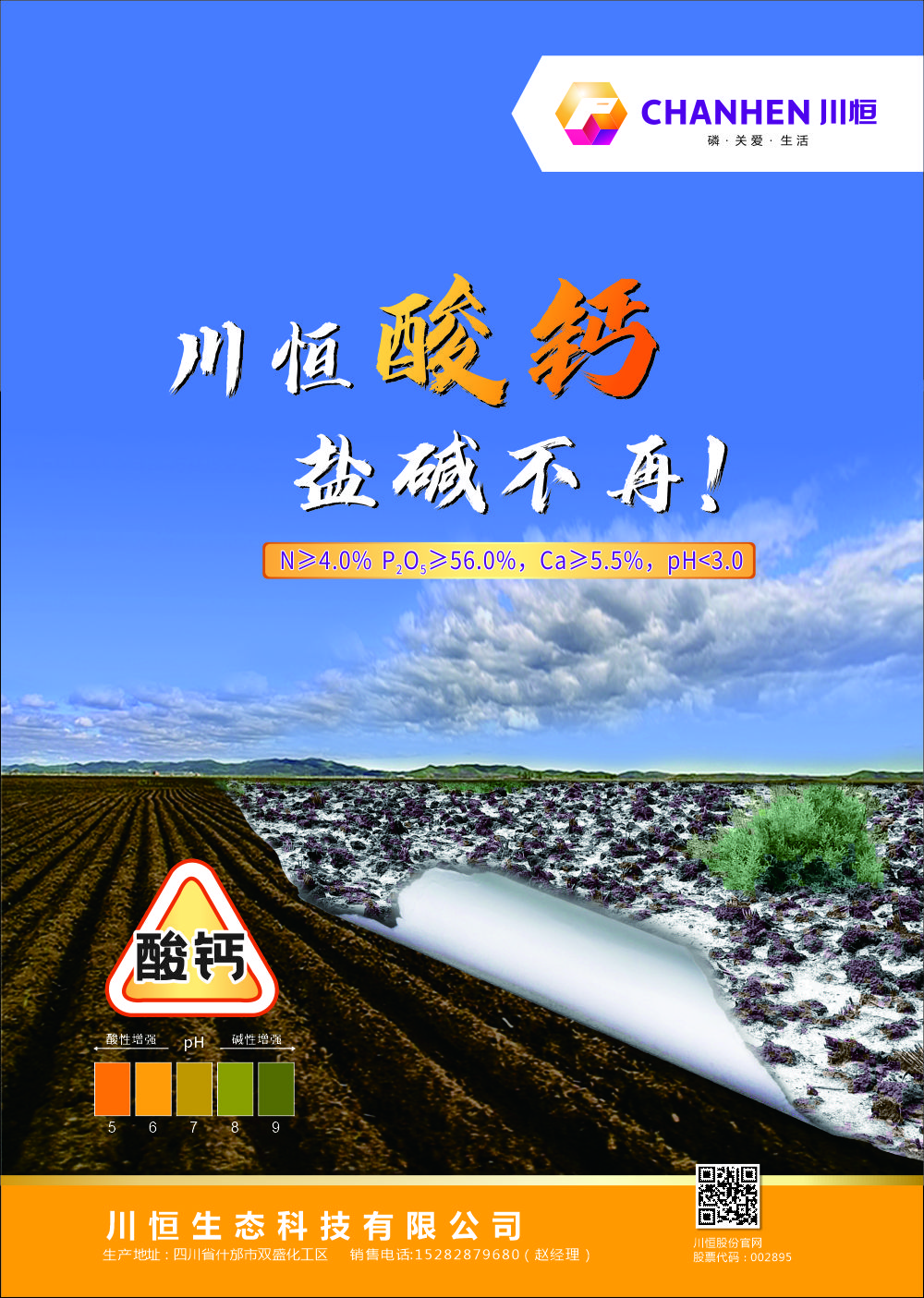 帝康DM单正面